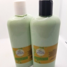 Load image into Gallery viewer, Pamela Essentials Eucalyptus Spearmint Hand and Body Lotion 8oz